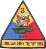 D Company 3/8 Cav - United States